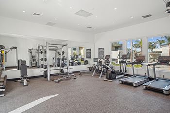 Fully equipped cardio & strength training station